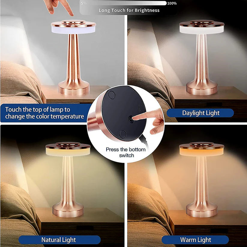 Touch LED Metal Desk Lamp