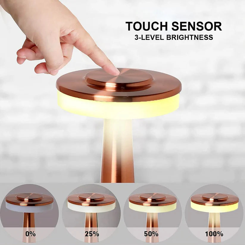 Touch LED Metal Desk Lamp